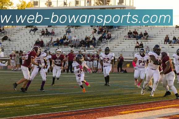 球赛投注平台生态图